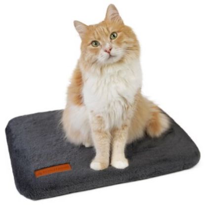 Schlitzohr Fensterbankliege Teddy stabil (Schlitzohr)