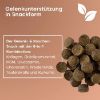 Pfotenkumpels Gelenktabletten / -snack Hüftschwung 200g (Pfotenkumpels)