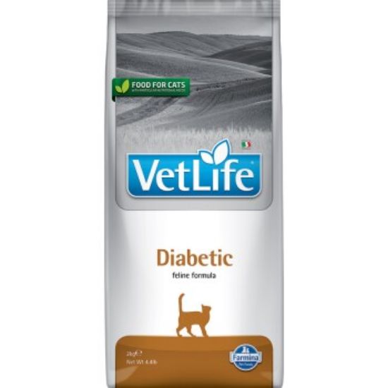 VetLife Farmina Diabetic 2 kg (VetLife)