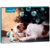 ZooRoyal Adventskalender Hund 2025 245g (ZooRoyal)