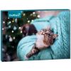 ZooRoyal Adventskalender Katze 2025 200g (ZooRoyal)