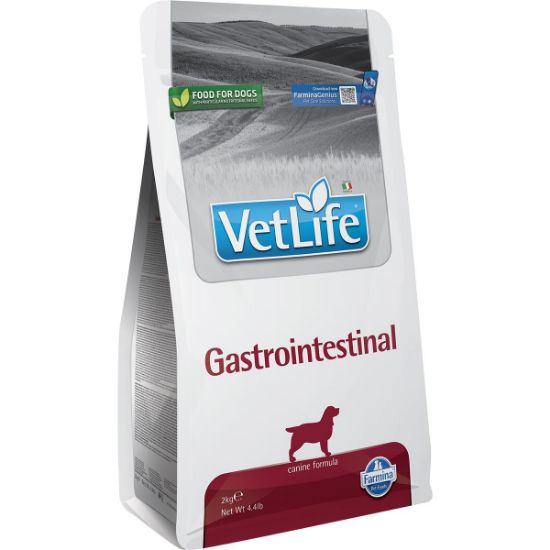 Farmina Vet Life Dog Gastrointestinal 2kg (Vet Life)