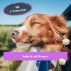 BeG Buddy Coolness-Drops, unterstützt Beruhigung Hund mit Baldrian - Relax / Angst 90g (BeG Buddy)