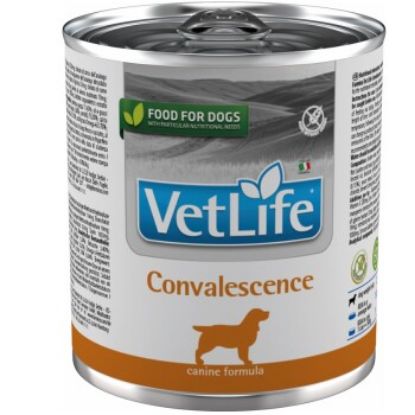 VetLife Farmina Convalescence Genesung 6x300g (VetLife)
