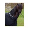 Top Reiter Abschwitzdecke Isländer (Top Reiter)