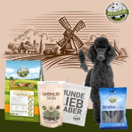 Bellfor Groß Pudel Futter Set (Bellfor)