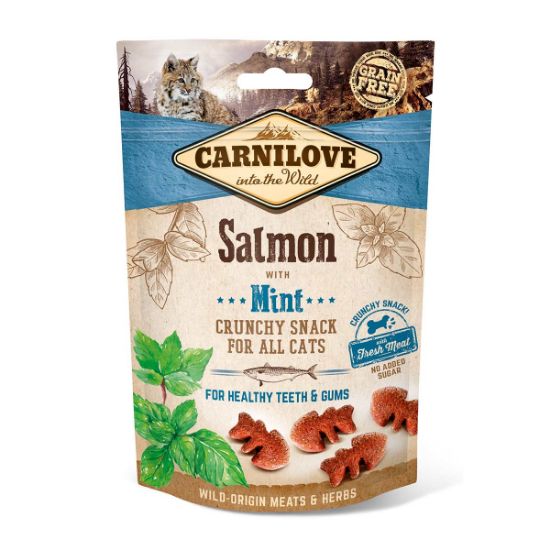 Carnilove Cat - Crunchy Snack - Salmon with Mint 6x50g (Carnilove)