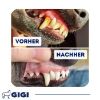 GIGI VET DENTAL CARE 35 g (GIGI VET)