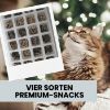 ALPHAZOO Adventskalender 2025 für Katzen (ALPHAZOO)