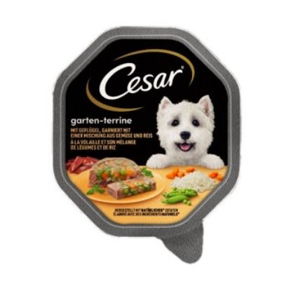Cesar Garten-Terrine 14x150g Geflügel, Gemüse und Reis (Cesar)