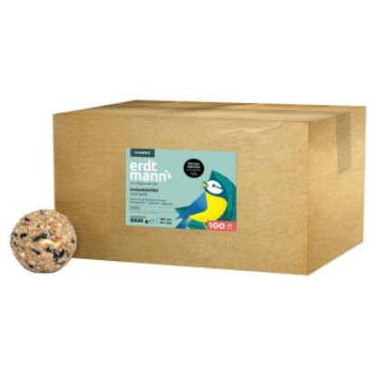 Erdtmann's 100 Meisenknödel ohne Netz im Karton (Erdtmann's)