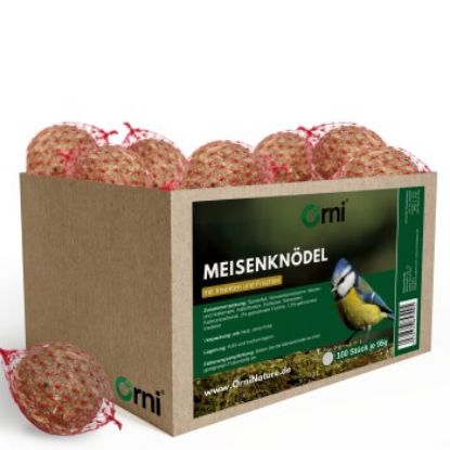 Orni Meisenknödel mit Insekten und Früchte, mit Netz ohne Folie 100 Stück (Orni)