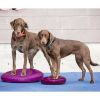 FitPaws Balance-Scheibe - 56 cm - lila (FitPaws)