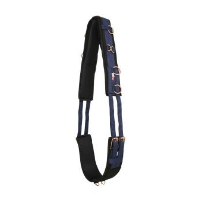 Imperial Riding Longiergurt nylon IRHDeluxe (Imperial Riding)
