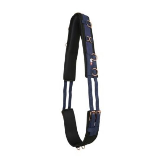 Imperial Riding Longiergurt nylon IRHDeluxe (Imperial Riding)