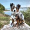 G.O.A.T. GmbH Smoothiedog SmoothieDog Sensitivo (G.O.A.T. GmbH Smoothiedog)