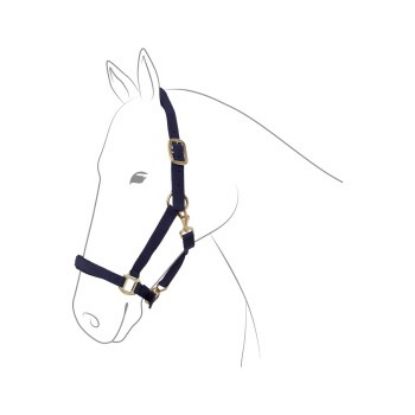 EQuest Halfter Dual Plus navy Pony (EQuest)