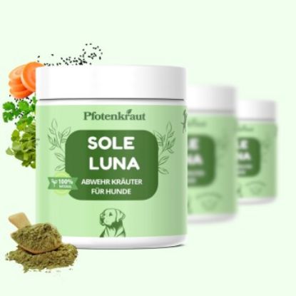 Pfotenkraut FUNNY WORMY (Pfotenkraut)