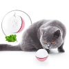 Edupet Catlove LED Cat Ball pink (Edupet)