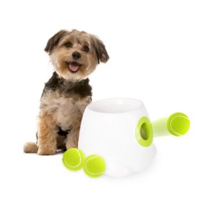 All for paws Automatischer Ballwerfer für klein und mittelgroße Hunde (All for paws)