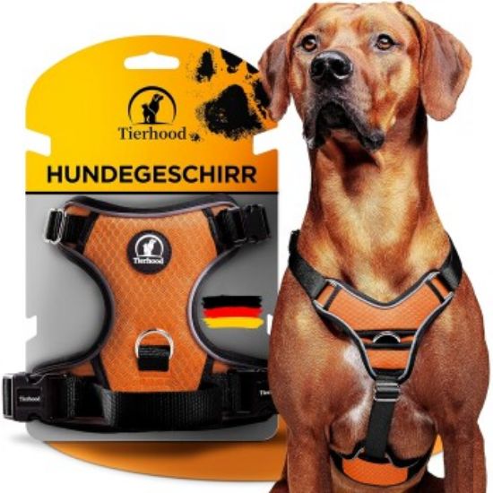 Tierhood Hundegeschirr orange S (Tierhood)