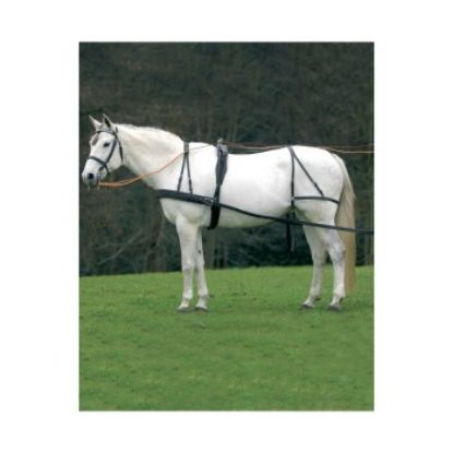 STAR Einspänner-Geschirr Economic VB/ COB (Vollblut) (Star)