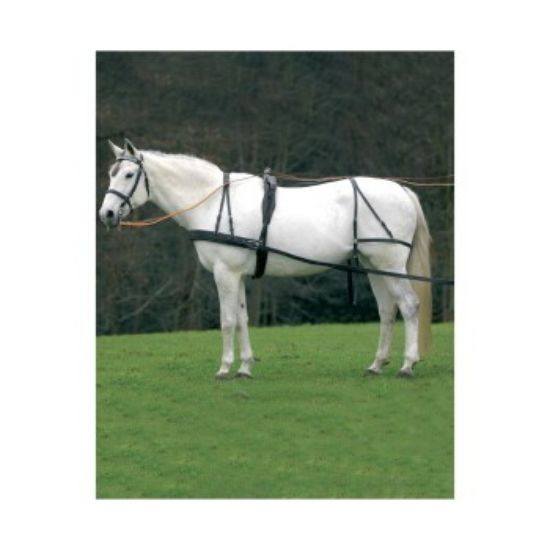 STAR Einspänner-Geschirr Economic VB/ COB (Vollblut) (Star)